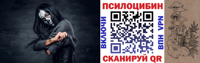 Псилоцибиновые грибы мицелий  сколько стоит  Ачхой-Мартан 